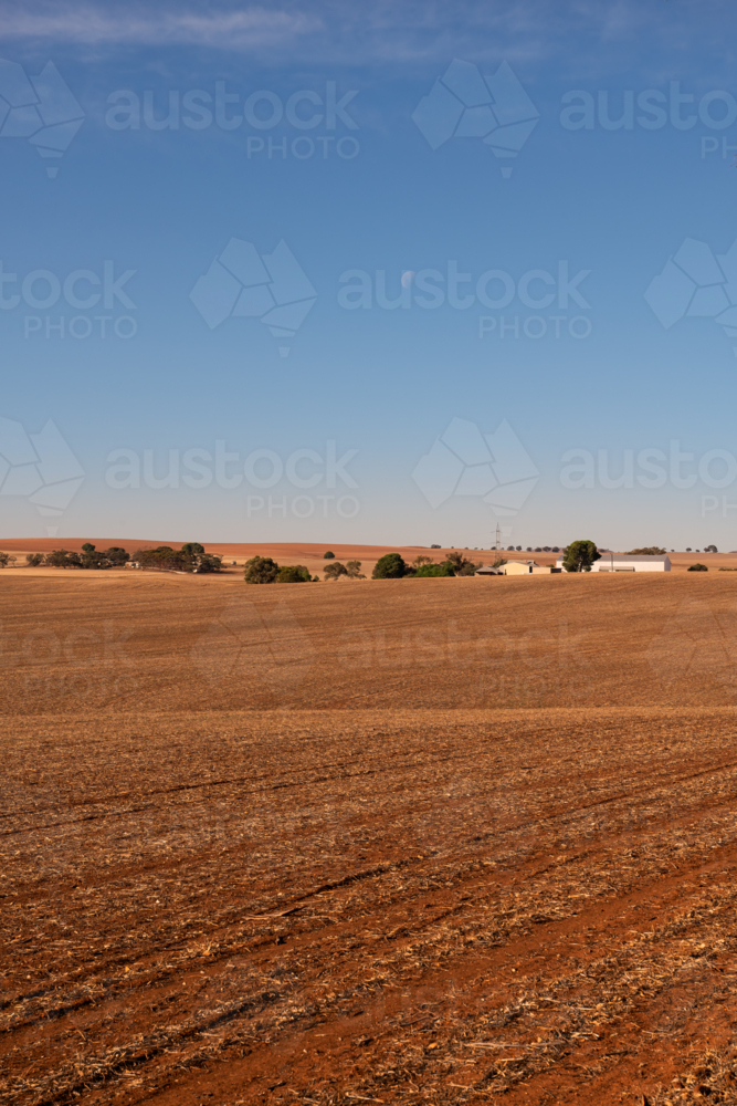 View over dry brown fields, near Clare Valley, South Australia - Australian Stock Image