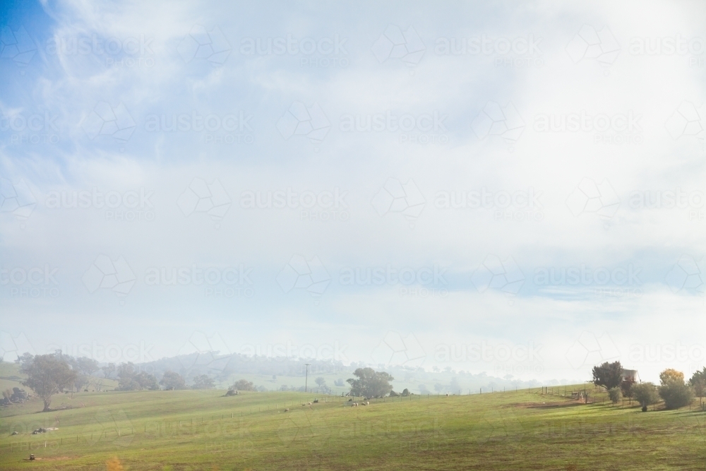 View over farmland in NSW with low cloud - Australian Stock Image