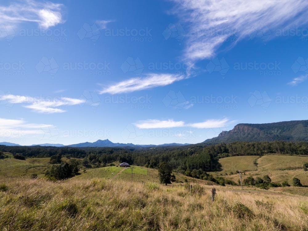 View over grassy paddocks and trees towards Mount Warning - Australian Stock Image