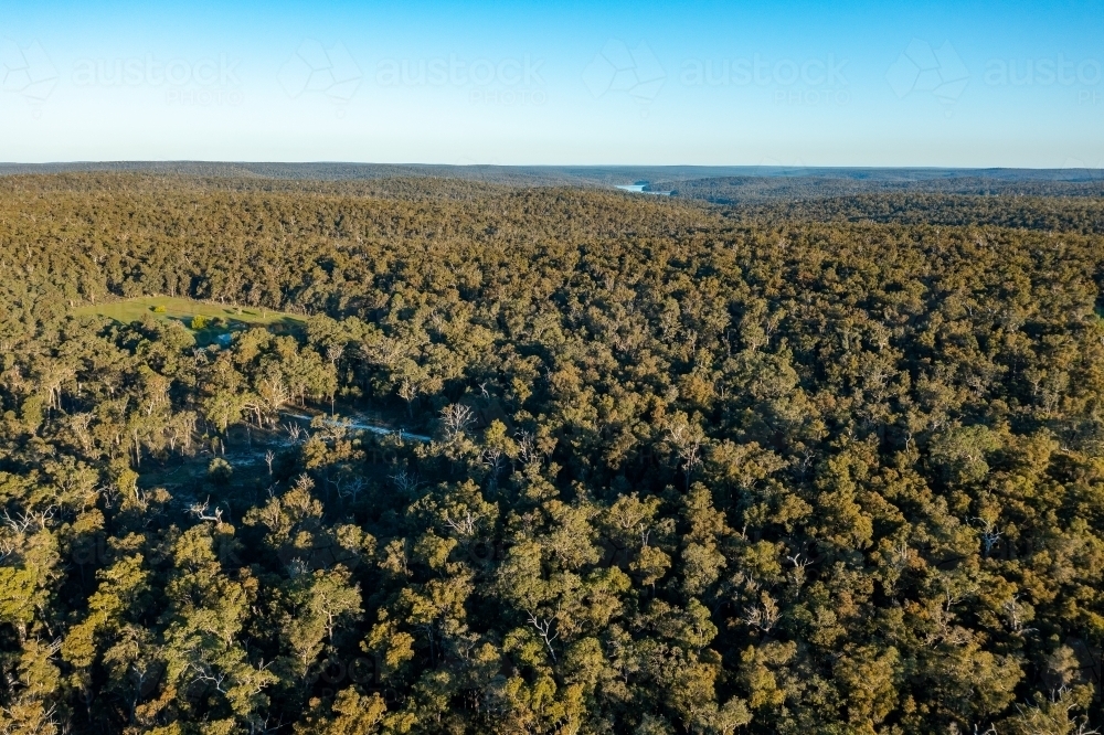 view over native forest at Wellington National Park - Australian Stock Image