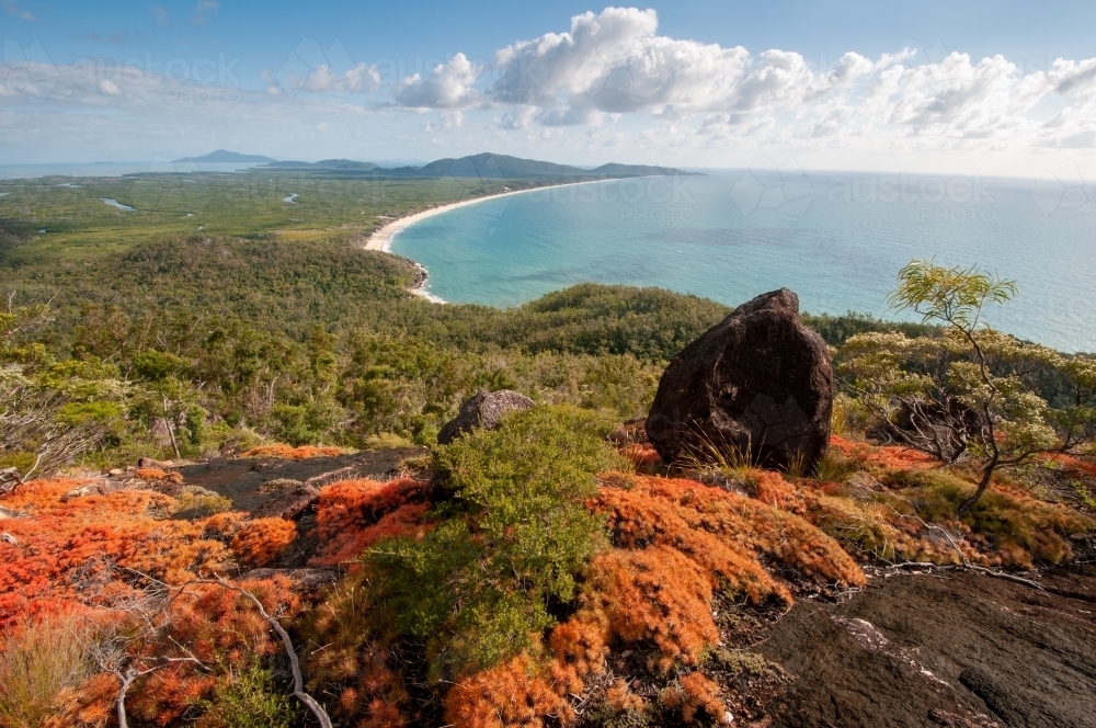 View over Ramsay Beach and bay from Nina Peak with resurrection plants in the foreground - Australian Stock Image
