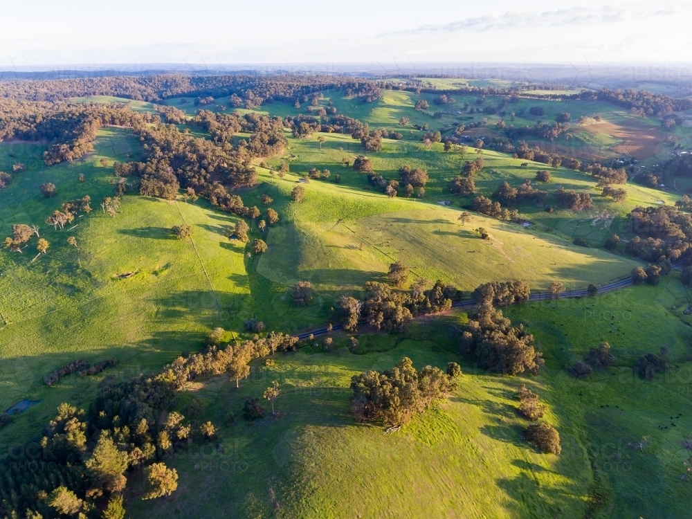 view over undulating verdant landscape punctuated by trees - Australian Stock Image