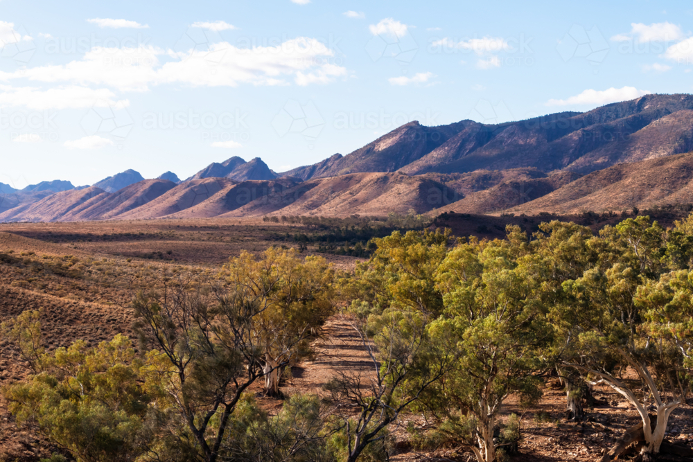 View towards mountain ranges in Flinders Ranges, South Australia - Australian Stock Image