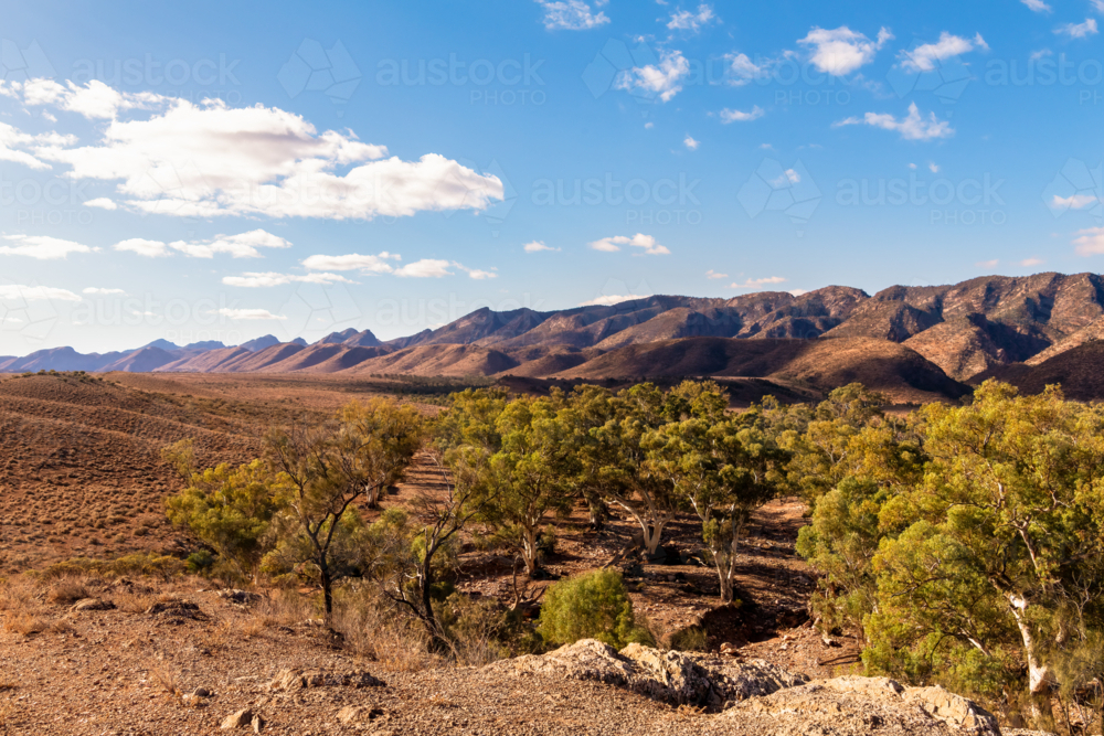 View towards mountain ranges in Flinders Ranges, South Australia - Australian Stock Image