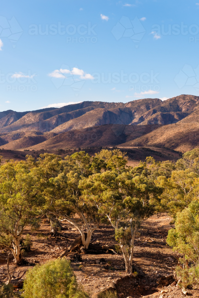 View towards mountain ranges in Flinders Ranges, South Australia - Australian Stock Image