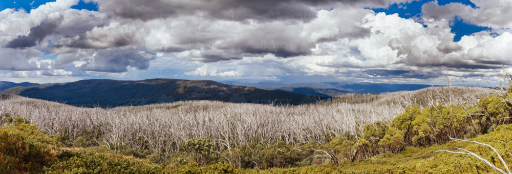 Views from Boundary Hut Trail near Lake Mountain on a clear summer's day, near Marysville, Victoria, - Australian Stock Image