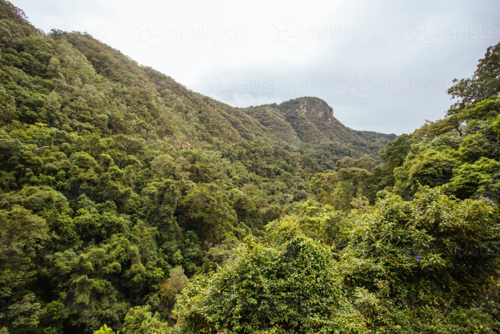 Views of rainforest and landscape from Kuranda Scenic Railway in Queensland, Australia - Australian Stock Image