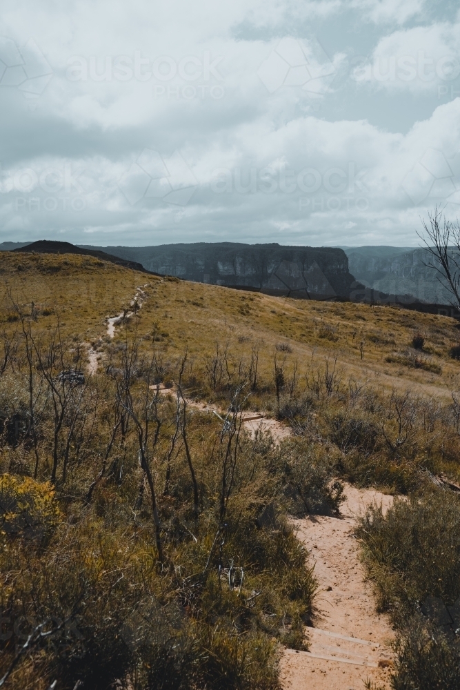 Views of the Lockleys Pylon Walking Track towards the summit. - Australian Stock Image