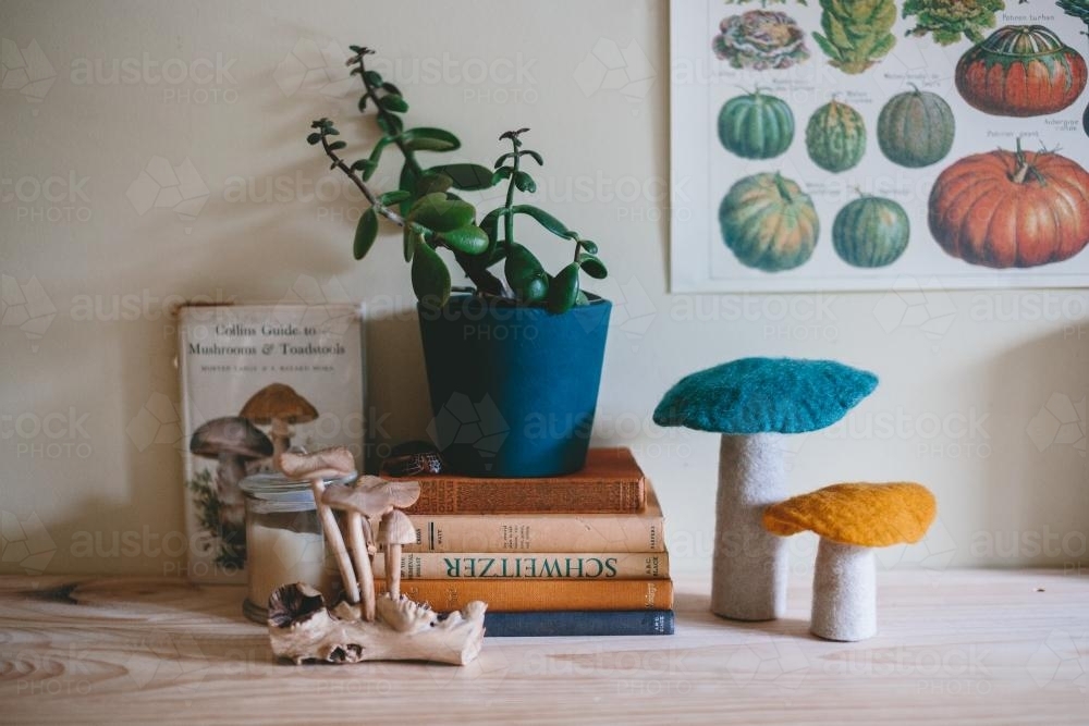 Vintage books and objects on a desk - Australian Stock Image