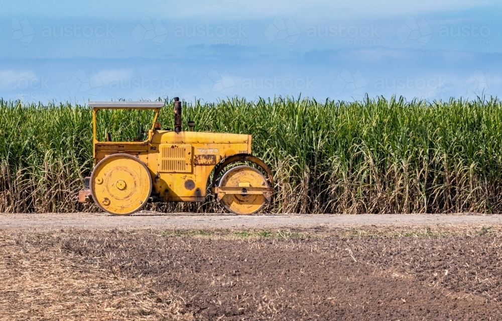 Vintage yellow tractor on sugar cane farm on a sunny day - Australian Stock Image