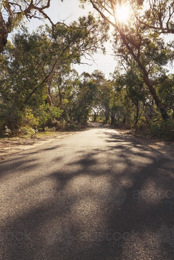 Walking down a country road in the Victorian bush - Australian Stock Image