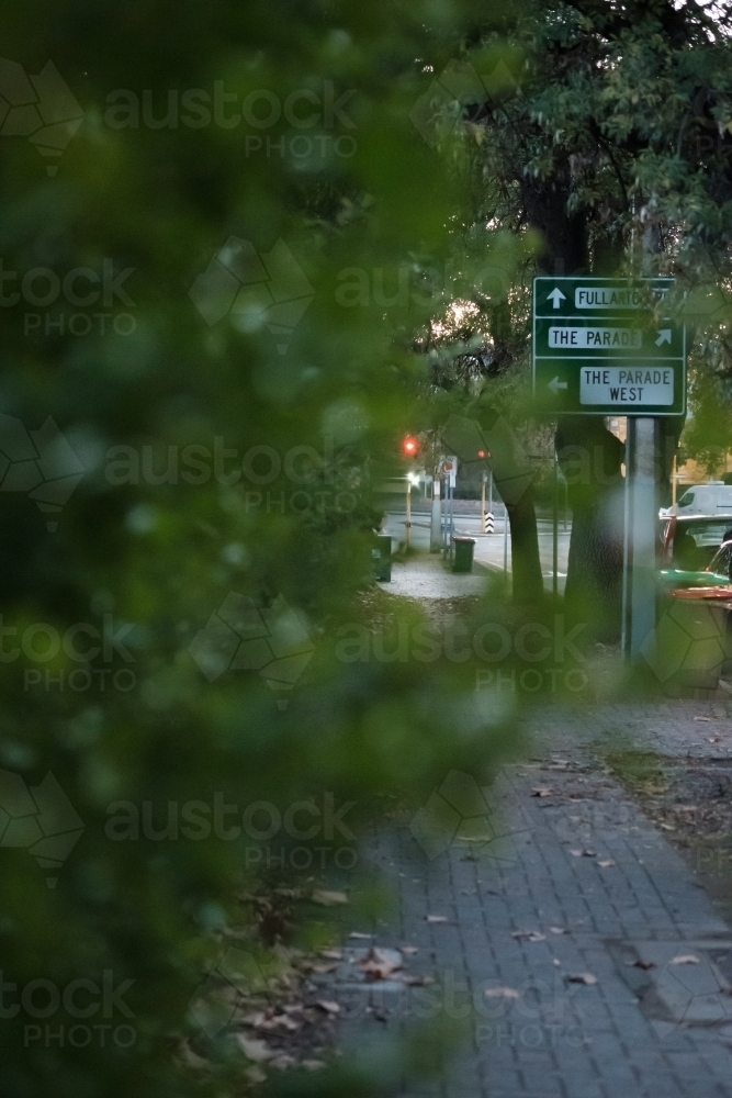 Walking down the tree lined street in Adelaide - Australian Stock Image