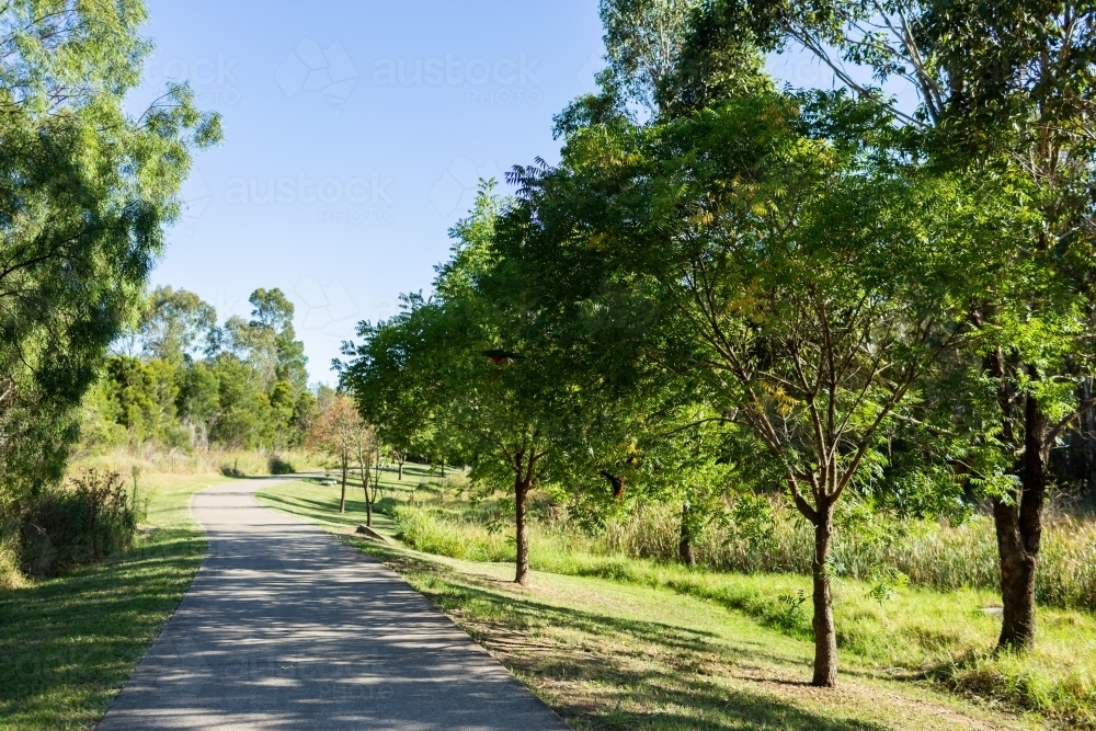 Singleton Tree Image of Walking path through reserve in Singleton with native king ...