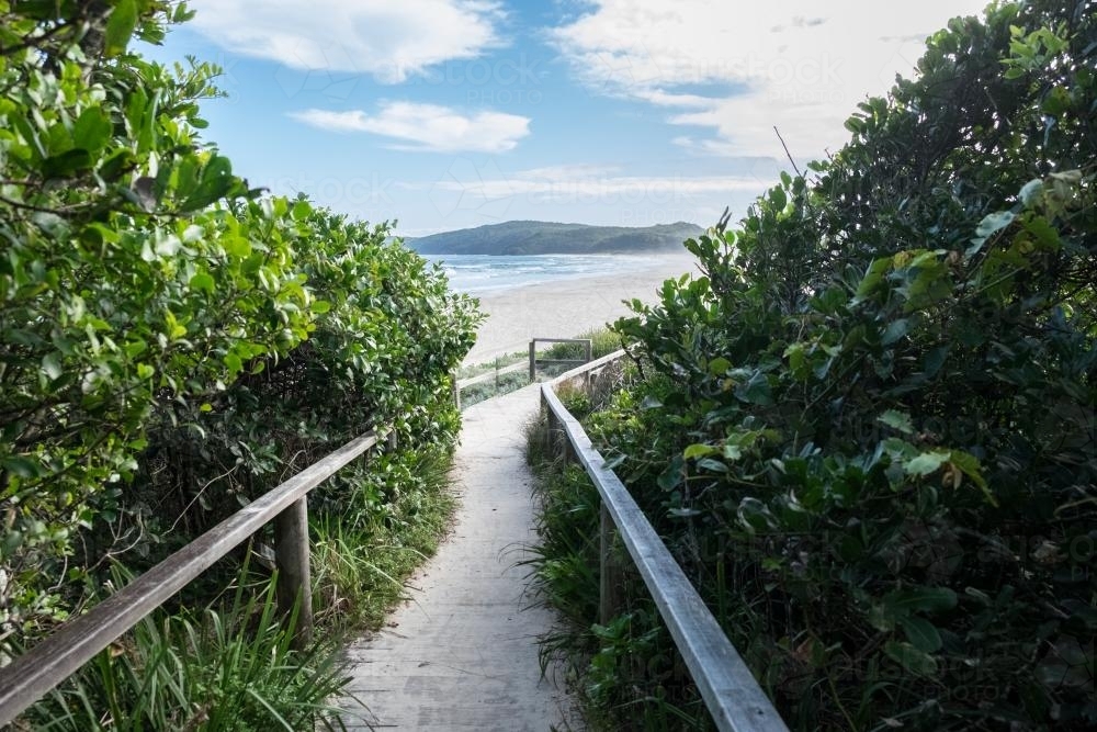 Walking path to beach - Australian Stock Image