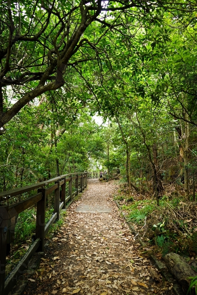 Walking track in a park with fallen dried leaves - Australian Stock Image
