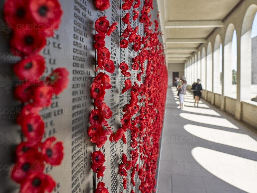 Wall of honour poppies at Australian War memorial - Australian Stock Image