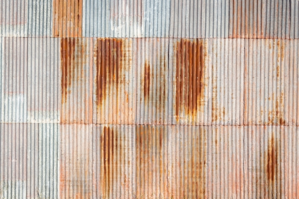 wall of rusty corrugated iron sheets - Australian Stock Image