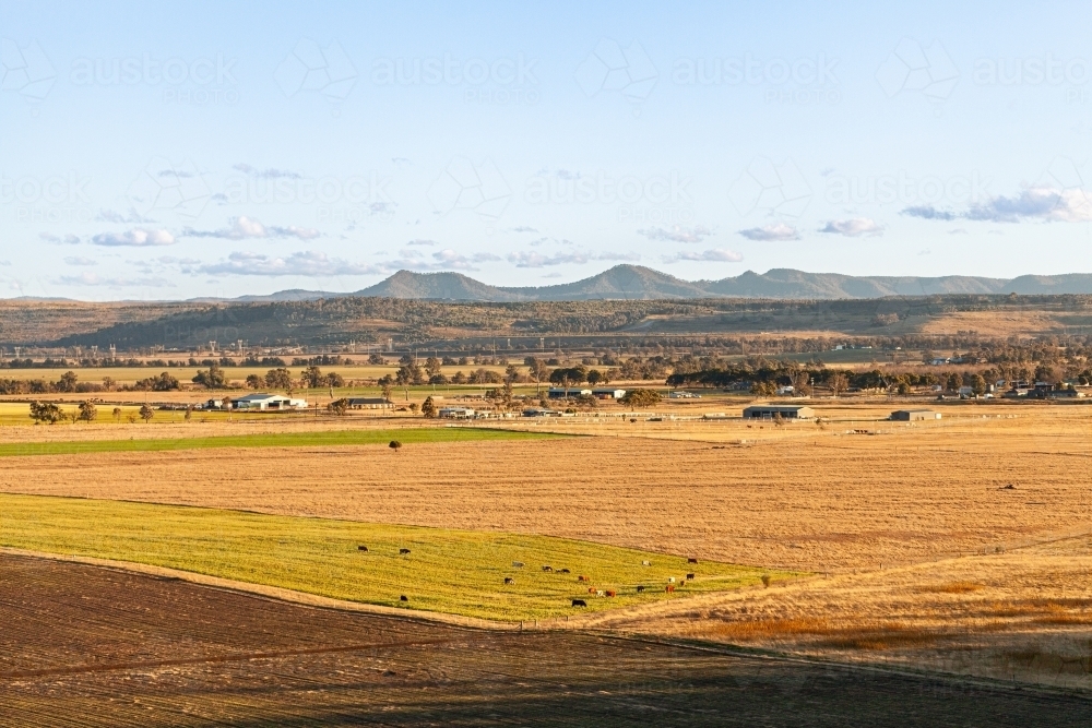 Warm evening light over flat plains and cattle paddocks with bulga hills in distance - Australian Stock Image