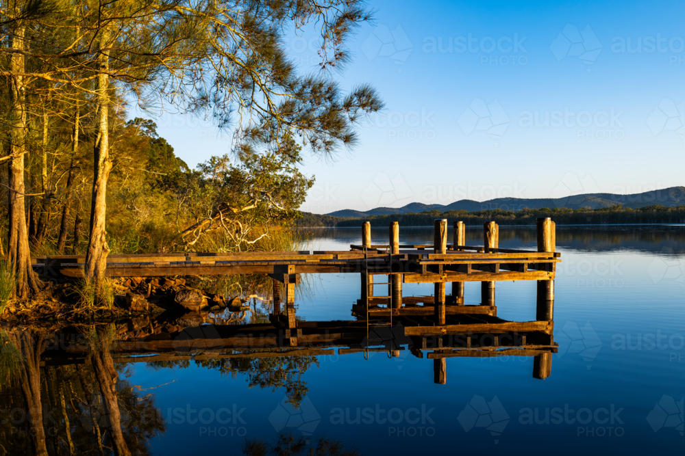 Warm trees at sunrise beside calm water - Australian Stock Image