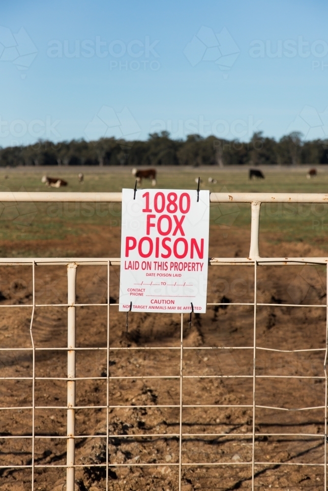 Fox Warning Sign Image of Warning sign for 1080 fox poison (bait) - Austockphoto