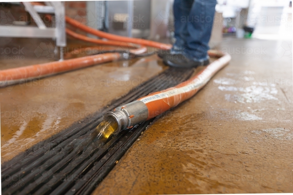 Waste water running into a drain at a microbrewery - Australian Stock Image