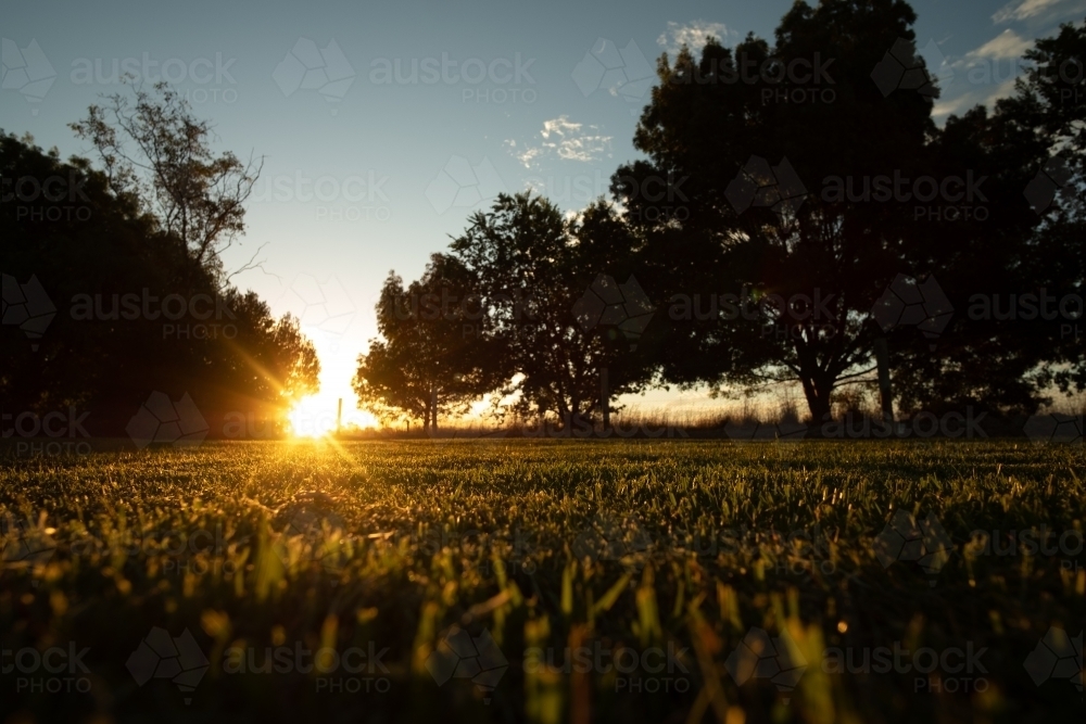 Watching the Sun going down on Farm lawn - Australian Stock Image