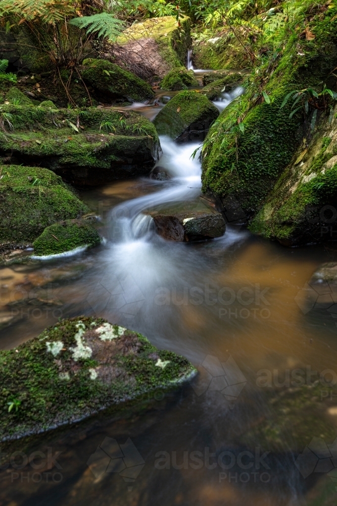 Water cascading down the gully in and around thick mossy rocks and lush ferns - Australian Stock Image