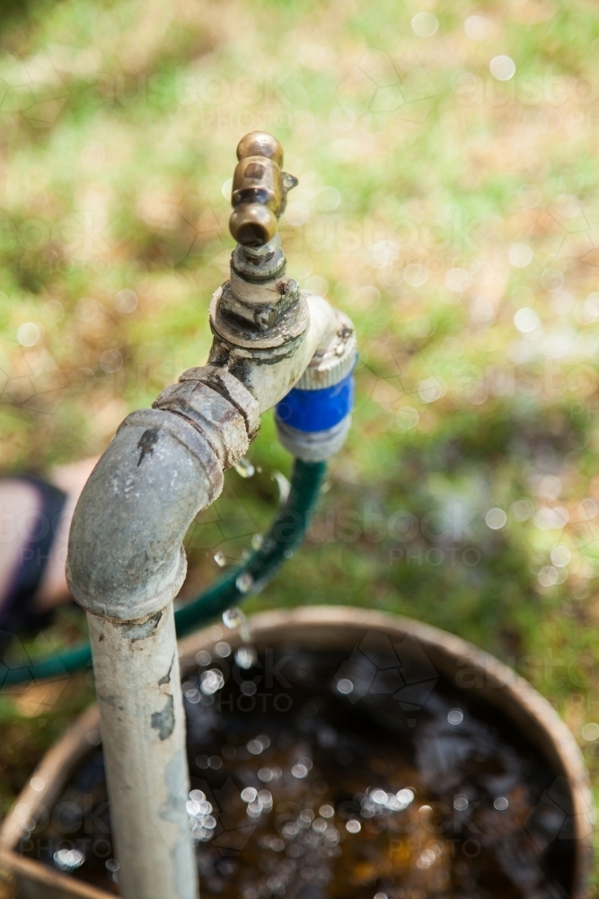 Image of Water dripping from tap into dog water bowl in summer