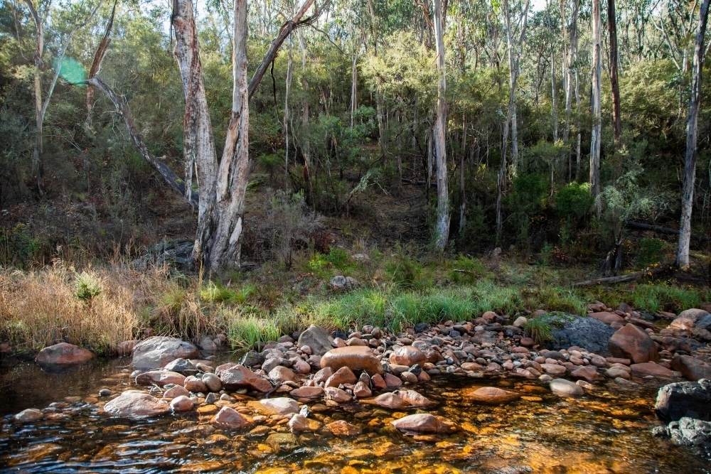 Water flowing down a mountain stream - Australian Stock Image