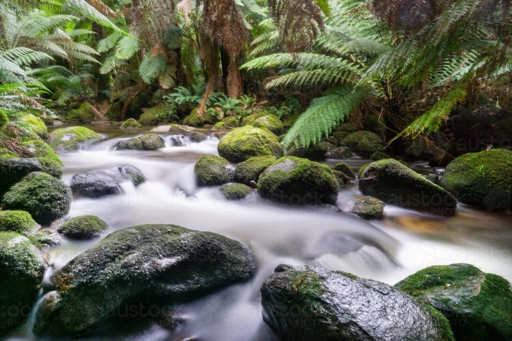 Water flowing in rapids over moss covered rocks - Australian Stock Image