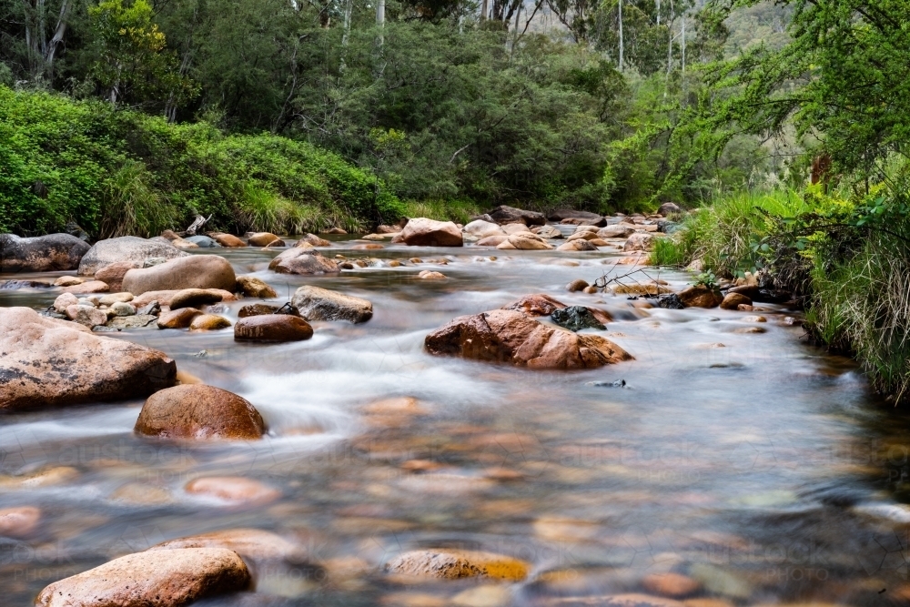 Water flowing over pink rocks in a mountain stream surrounded by verdant green forest. - Australian Stock Image