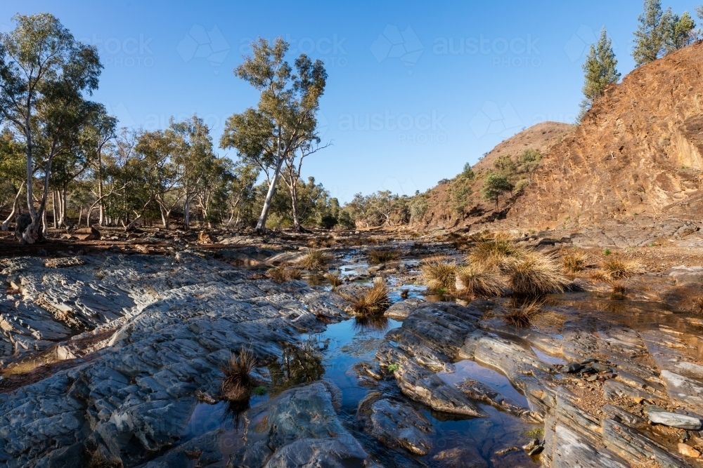 water in bed of gum lined outback creek - Australian Stock Image