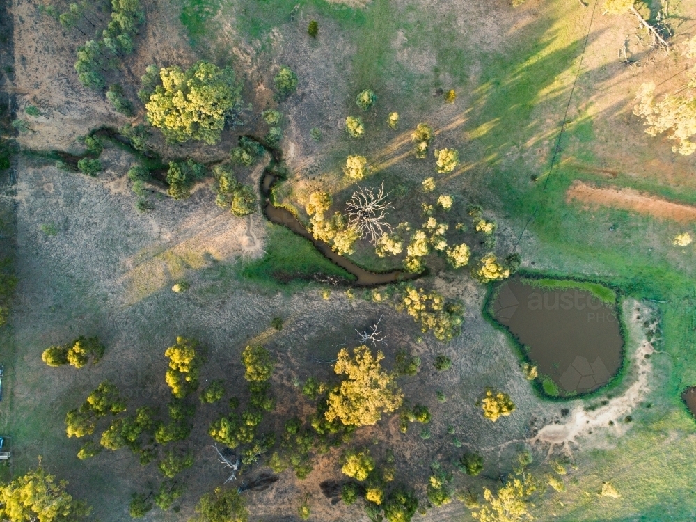 Water in creek watercourse flowing to dam in farm paddock - Australian Stock Image