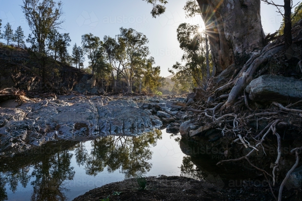 water in gum lined outback creek - Australian Stock Image