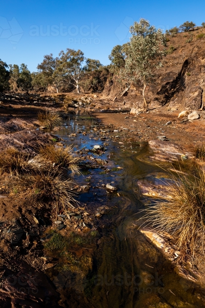 water in gum lined outback creek - Australian Stock Image