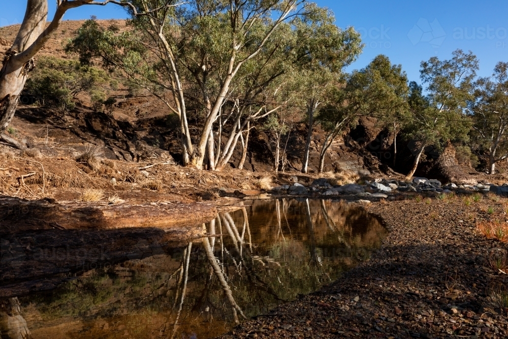 water in gum lined outback creek - Australian Stock Image