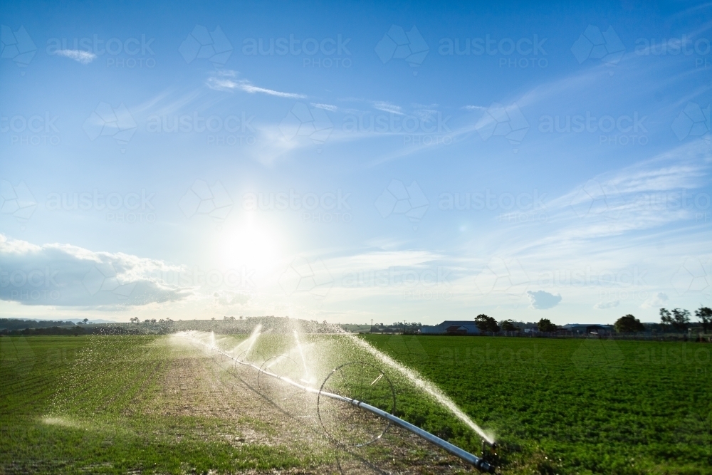 Water spray from farm irrigation system at sunset - Australian Stock Image