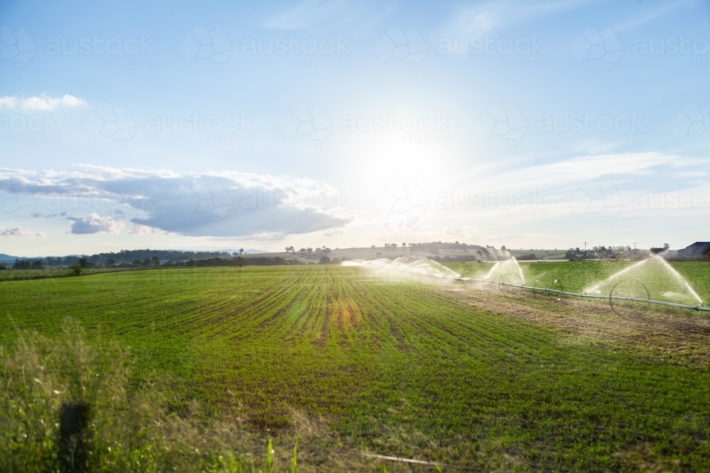 Water spray from farm irrigation system at sunset - Australian Stock Image
