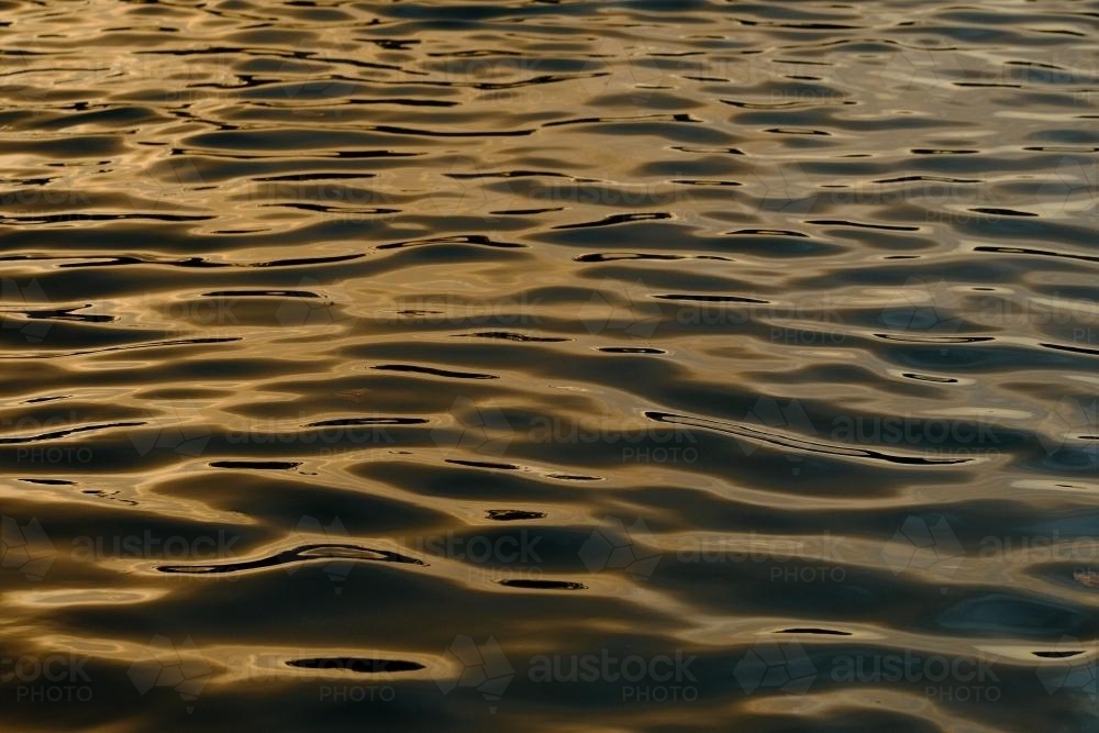 Water surface of a lake in golden light - Australian Stock Image