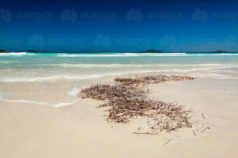 Water washing on to weed on sandy beach with aqua ocean waves and deep blue sky above horizon - Australian Stock Image