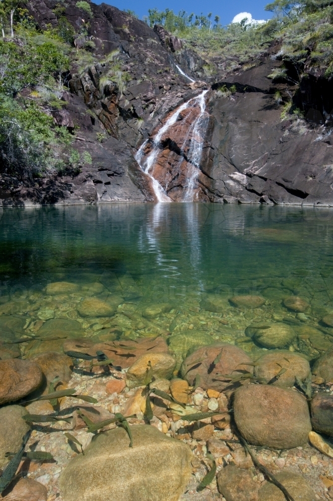 waterfall and pool with fish in foreground - Australian Stock Image
