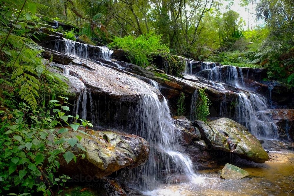 Image of Waterfall in a rainforest - Austockphoto