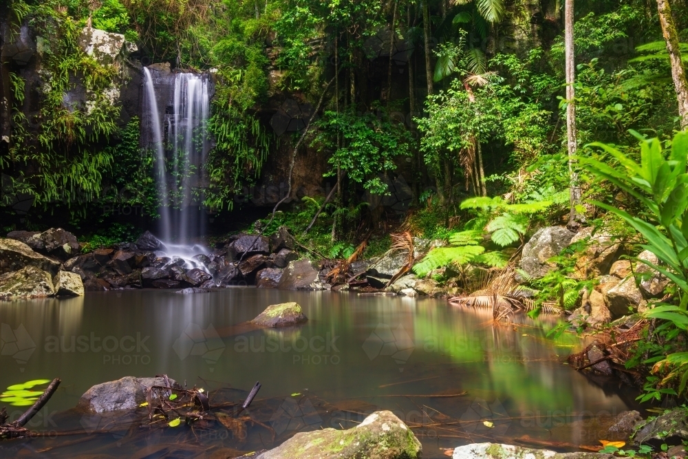 Waterfall in a rainforest - Australian Stock Image