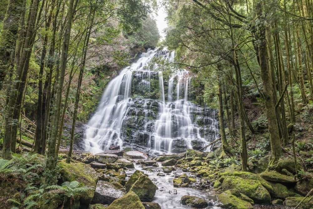 Waterfall in Tasmania - Australian Stock Image