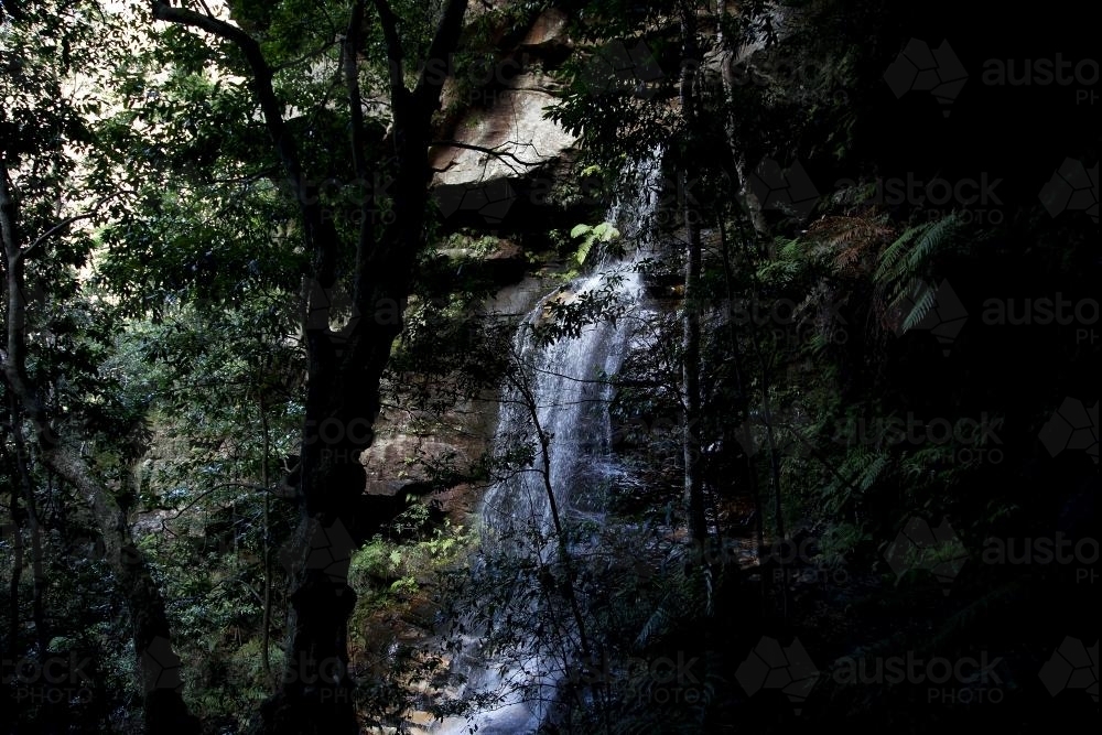 Waterfall through branches - Australian Stock Image