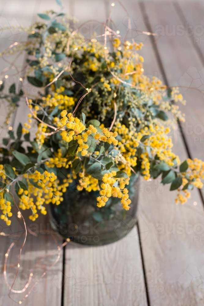 Image of wattle flower in a vase Austockphoto