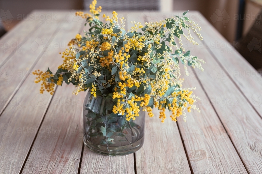 wattle flowers in a vase - Australian Stock Image