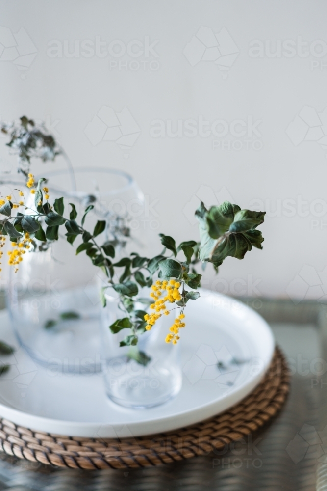 wattle in a vase - Australian Stock Image