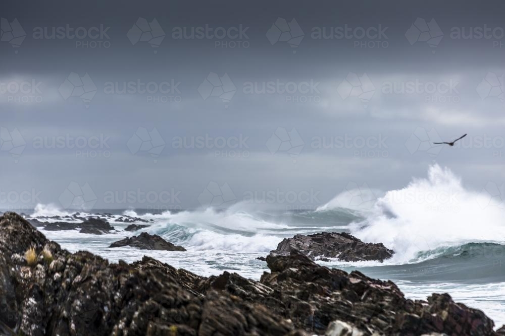 Waves crash into the dramatic King Island Shoreline - Australian Stock Image