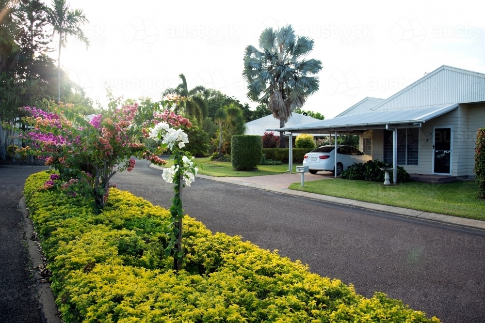 Weatherboard home in a picturesque street with hedge in the middle of the road. - Australian Stock Image